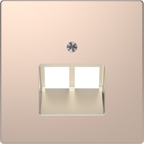 Лицевая панель Schneider Electric Merten D-Life для 2-м. розетки RJ45+RJ45 шампань фото Лицевая панель Schneider Electric Merten D-Life для 2-м. розетки RJ45+RJ45 шампань картинка